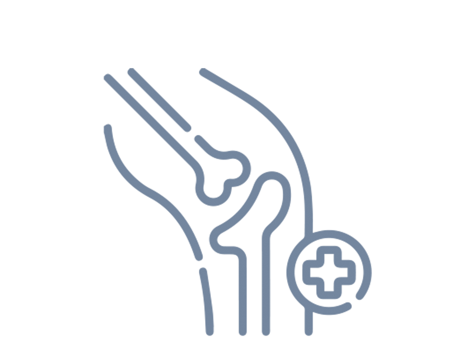 Orthopaedic
